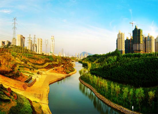 合肥匡河水域美洲牛蛙或有意放生 专家建议立即消灭